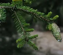 开云网站-c1212是什么